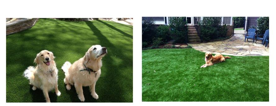 synthetic lawn for dogs.jpg