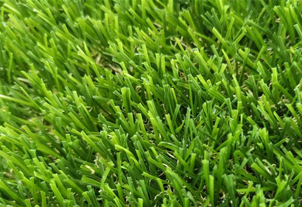 Artificial Landscape Turf .jpg Artificial Landscape Turf .jpg