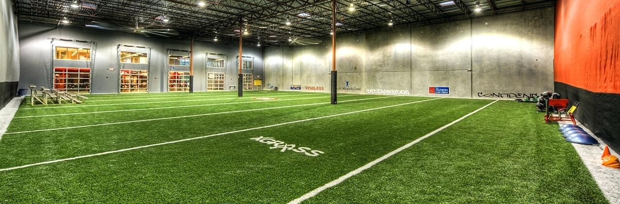 Indoor Synthetic Turf.jpg