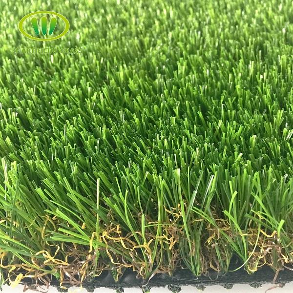 Intensify Turf Rolls4