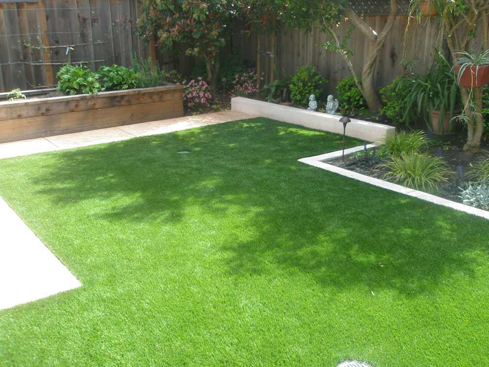 Intensify Turf Rolls