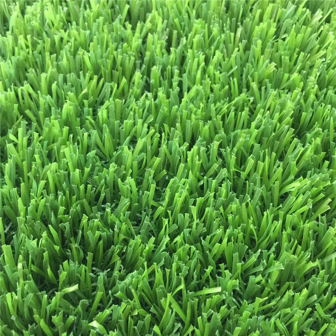 Non-infill football grass soccer field (3)