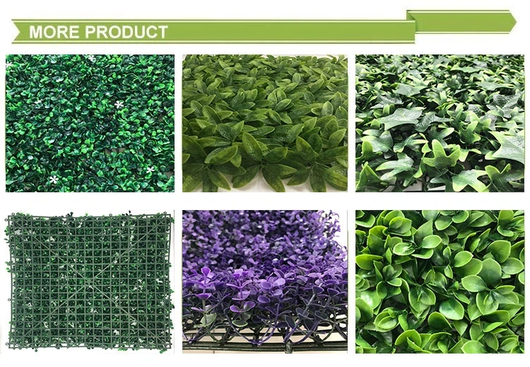 H532098388a074623bc5923d3165a90a4z