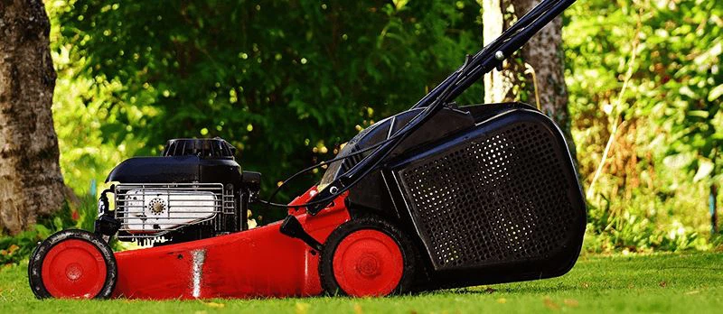 lawn-mower-mowing-lawnmower-1