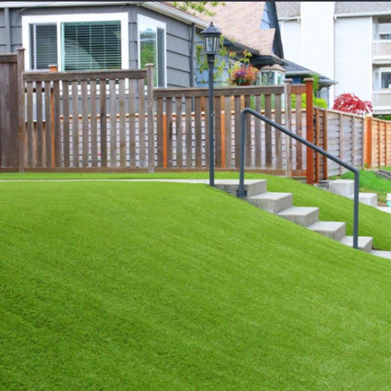 Garden grass