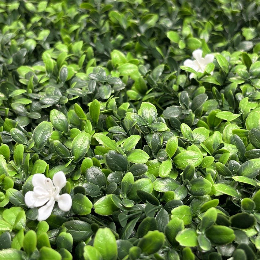 wall green wall green