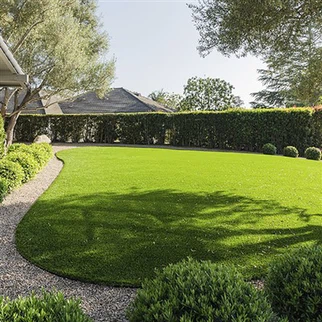 Artificial Turf in Los Angeles