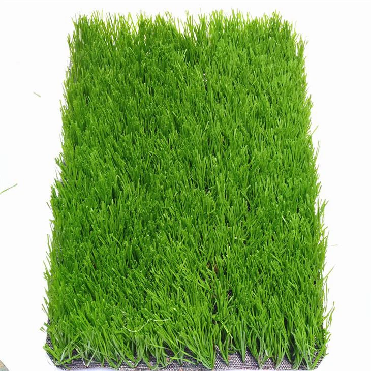 Artificial Turf Playground