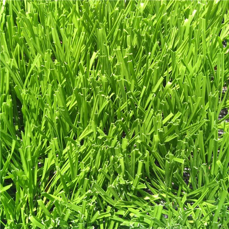 Artificial Turf Playground