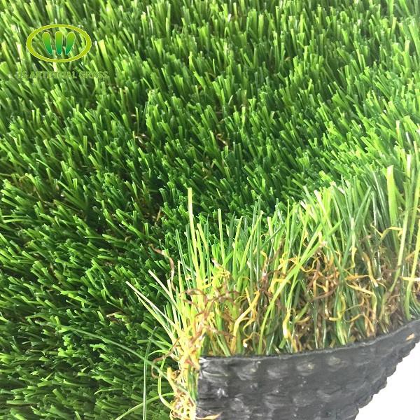 Intensify Turf Rolls