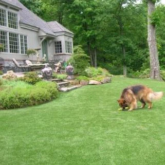 Artificial Grass For Pet