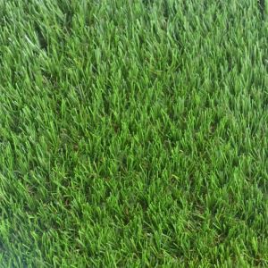 Cheap Chinese Manufacturer Supply Free Sample Artificial Grass for Home Garden