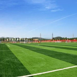 Football Synthetic Turf