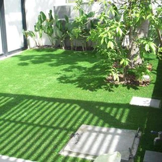 Grass Landscape