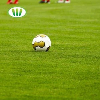 High Grade Outdoor 50mm Artificial Turf for Football Field