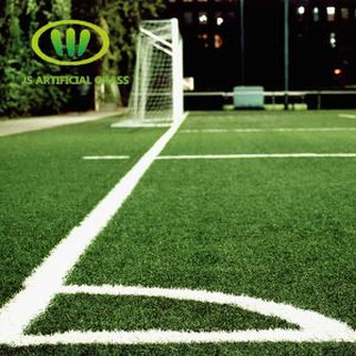 Outdoor Grass