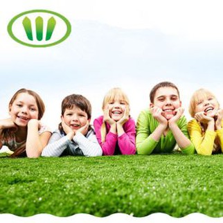 Pets Series 20mm Safety material use Artificial Grass for dogs and cats