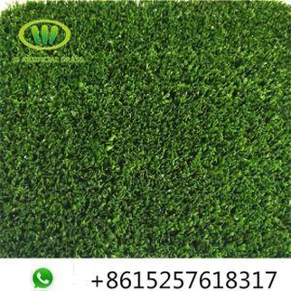 Plastic Lawn