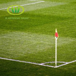 Soccer Grass