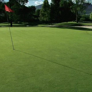 Synthetic Grass Putting Green