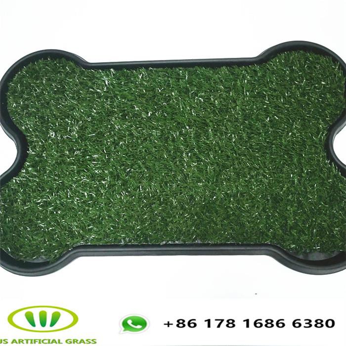 Synthetic Lawn For Dogs