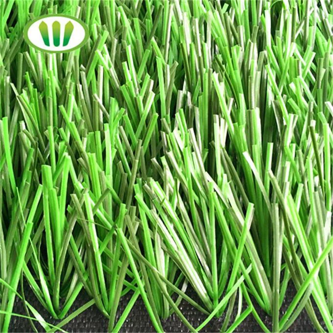 Synthetic Lawn Turf