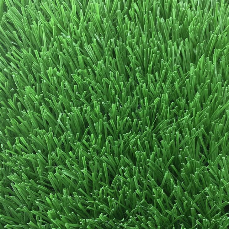 Playground Soccer Grass