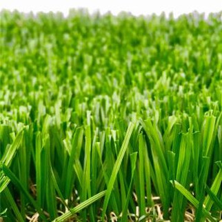 Artificial Grass Perth