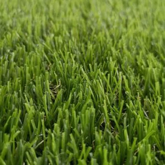 Artificial Yard