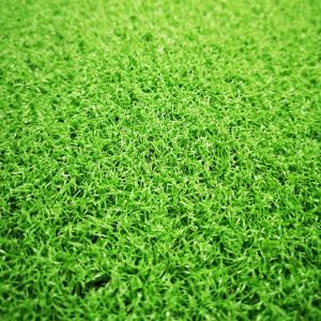 Fake Golf Grass
