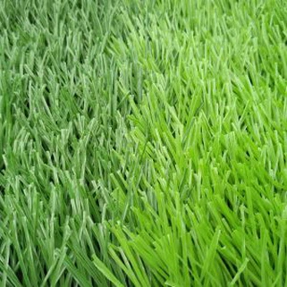 Football Pitch Grass