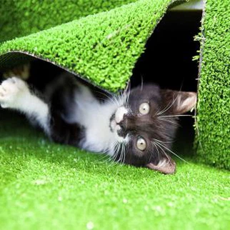 Imitation Turf Grass