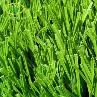 High Resolution Seamless Football Grass