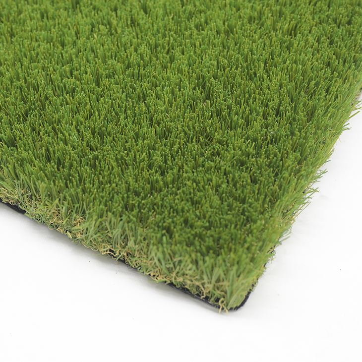 Outdoor Commercial Lawn