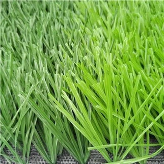 Field Turf Artificial Grass