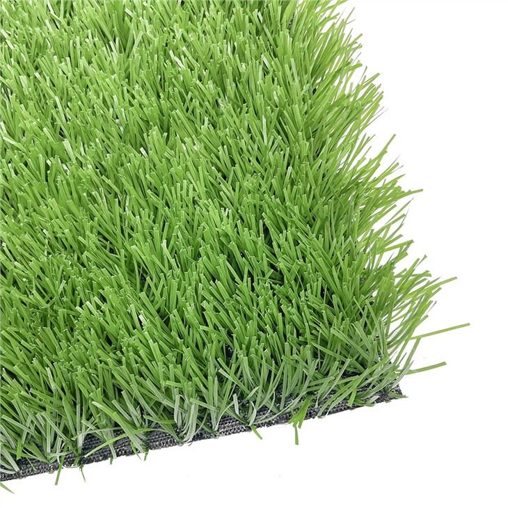 Sports Field Turf