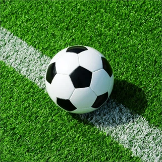 Football field grass